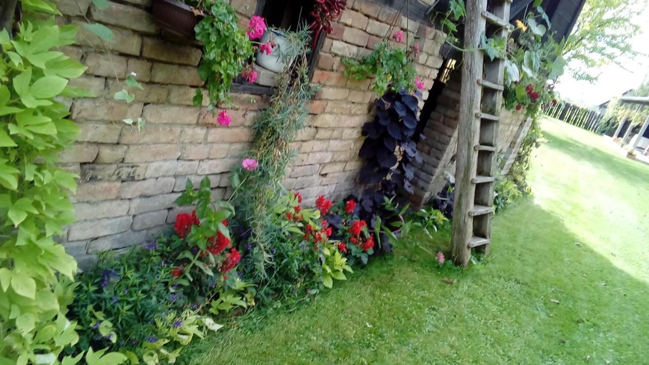 Snasini Kucari Bed & Breakfast Gradiste Bagian luar foto