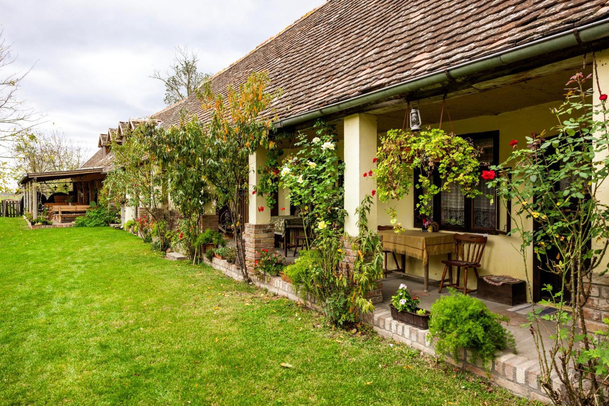 Snasini Kucari Bed & Breakfast Gradiste Bagian luar foto