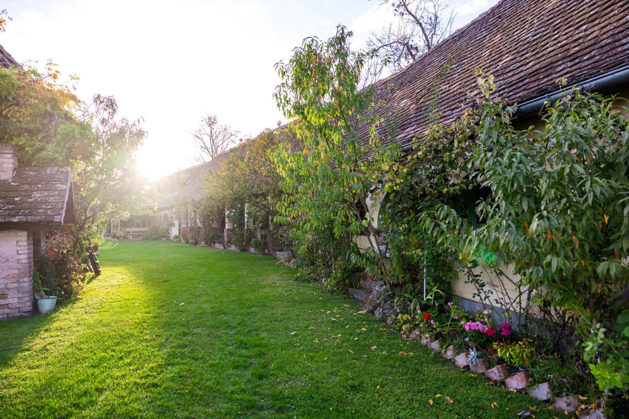 Snasini Kucari Bed & Breakfast Gradiste Bagian luar foto