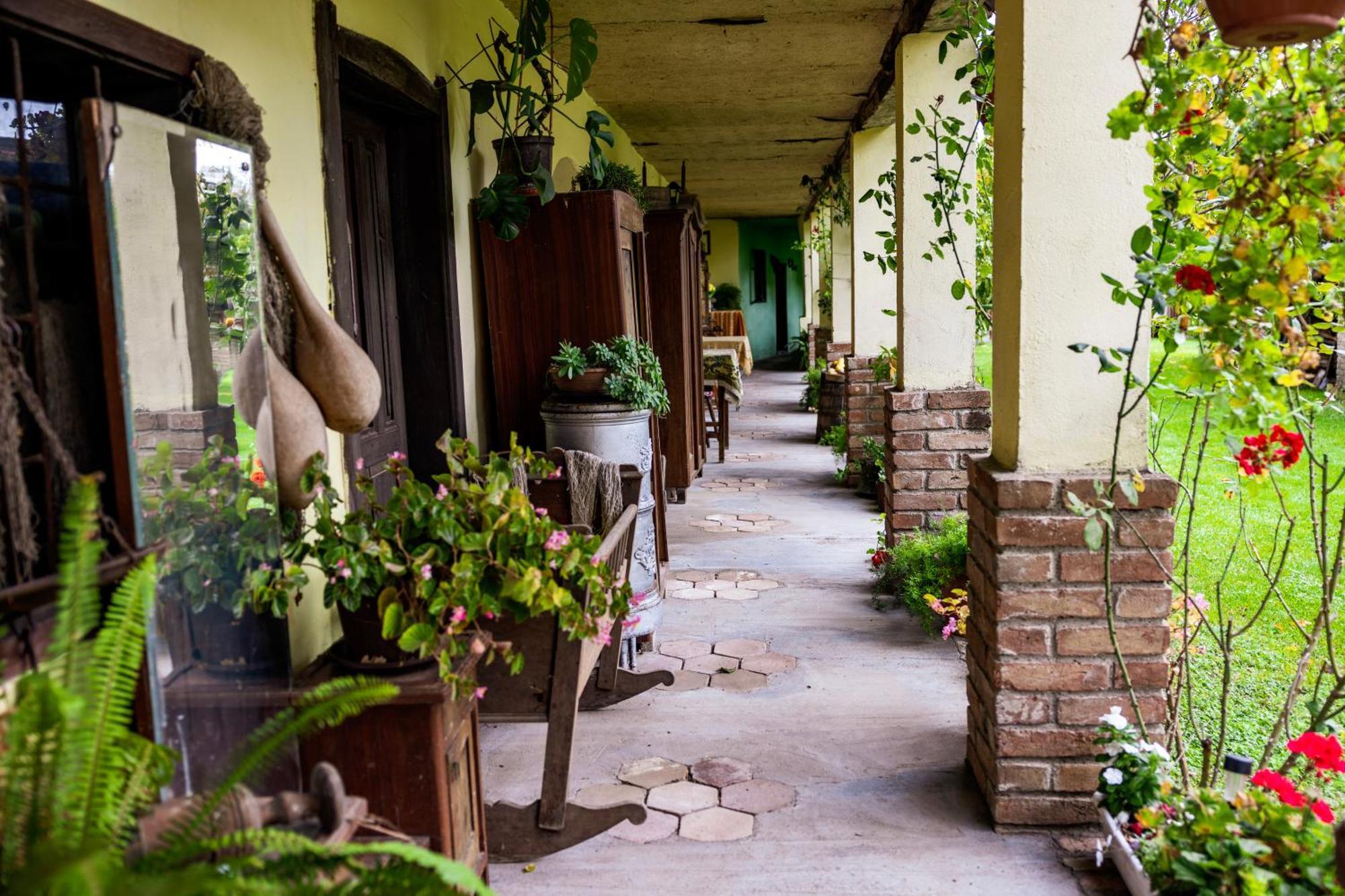 Snasini Kucari Bed & Breakfast Gradiste Bagian luar foto
